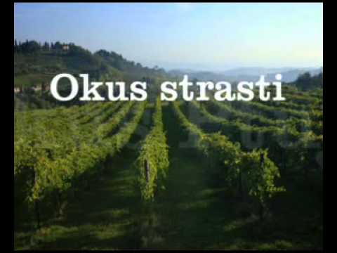 Pullus - The wine with Taste