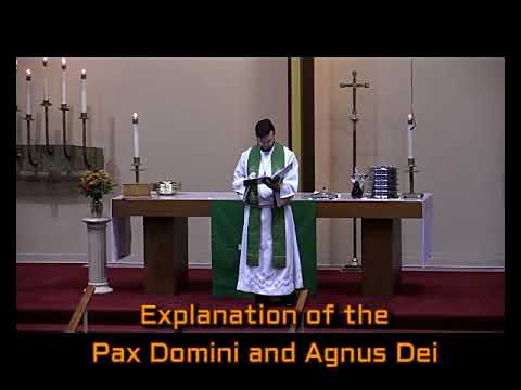 2017 11 26 16 Pax Domini and Agnus Dei