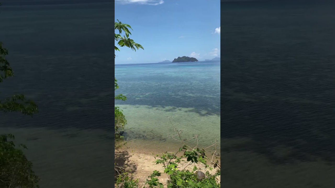 YouTube Short thumbnail