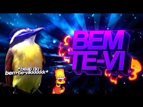 BEAT DO BEM-TE-VI - Passarinho que som é esse? (FUNK REMIX) by Sr. Nescau