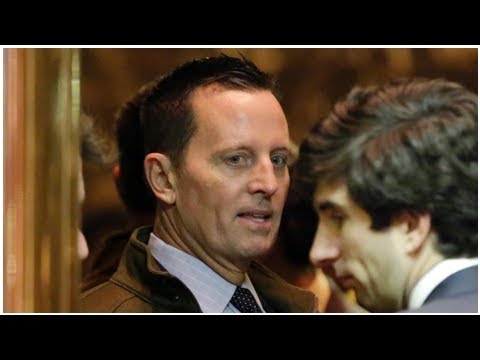 Neuer US-Botschafter Grenell: Trumps Mann für Berlin kann kommen
