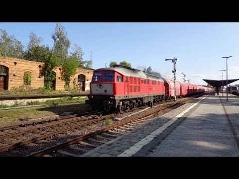 Herbstaufnahmen 2020 Teil 1