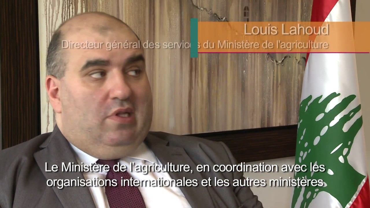 Codex in Lebanon - institutional