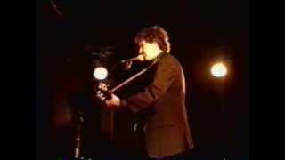 Steve Wynn - Never Ending Rain