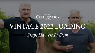 YouTube: Cederberg Elim Ghost Corner Semillon