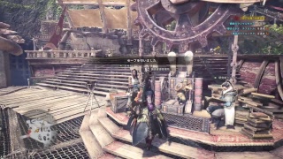テオテス倒せん泣 MHW