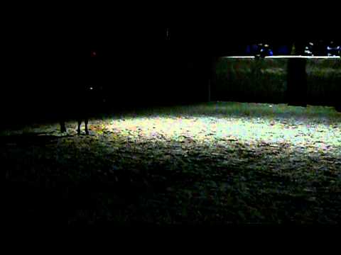 CANGUELO, BORJA Y CLEMENT; MANO A MANO!