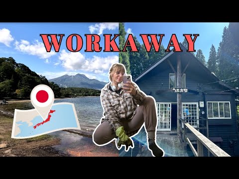 Voluntariado no Japão – Semana da Minha Vida