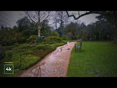 Relaxing Rain Walk Through a Quiet Park 🌧️ 4K Nature Ambience | ASMR Rain Sounds for Sleep & Focus