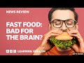 Fast Food Bad For Your Brain BBC News Review