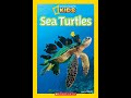 National Geographic Kids Readers Sea Turtles