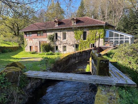 Moulin à vendre à Sauviat-sur-Vige, Haute-Vienne - 360.000 € - photo 3
