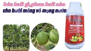 🎯 What Potassium Fertilizer? What Potassium Spray to Make Grapefruit Thin-Skinned - Juicy - Sweet?