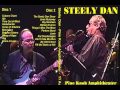 Steely Dan Greatest Hits - New Soundtrack 
