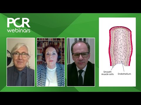 The problem of INOCA - Webinar