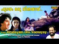 Hridayam Oru Veenayaay Malayalam Full Video Song HD Thammil Thammil Movie Song