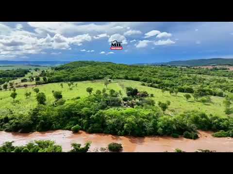 Fazenda em Aloandia - Go com 22 Alqueires (106,20 Hectares) 