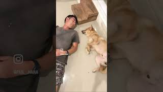 【知らない人が我が家に犬を置き去りにした話】 #バリ島 #ぱんはな家の日常 #保護犬 #ぱんはな家のラキ