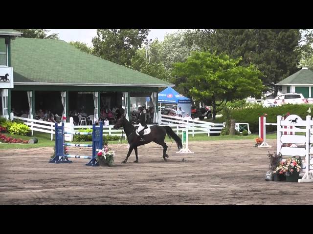 The half-brother of the mother of this frozen embryo is the CSI 1.60m jumping horse Kannan Lover with rider  Bianca Lafontaine.