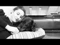 Nuovo Fumetto CANI Video Lo