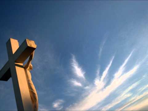 Fra Sito Coric - Masline i Vinogradi