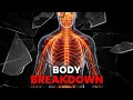 Stress Effects On The Body Symptoms Long Term Impact