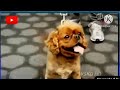 Sesame Street Murray Sounds Of The Street Loud