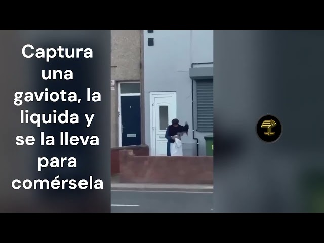 No son nuestras tradiciones