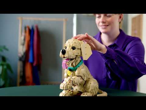Vidéo LEGO Icons 11384 : Le chiot Golden Retriever