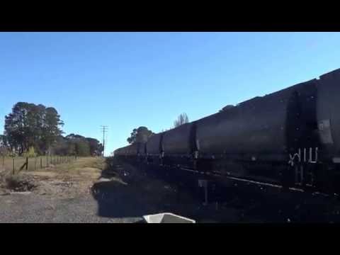 81 CLASS PACIFIC NATIONAL=ORANGE