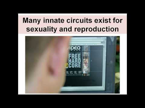 Vestri apparet ingenium in Sex: Quam Internet Porn afficit Cerebro (2015)