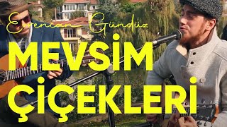 Evrencan Gündüz - Mevsim Çiçekleri