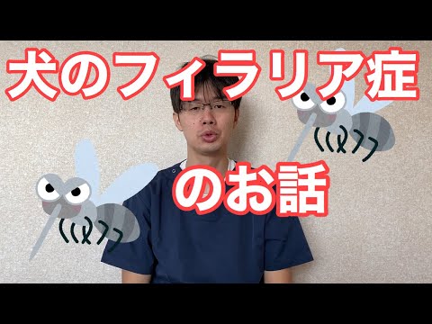 犬エールリヒア症 - 症状、診断、治療