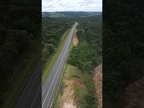 Torre de 60 metros em Teixeira Soares PR 🗼🧗🏻🧗🏻‍♀️#telecomunicaciones #vistaincrivel #telecom