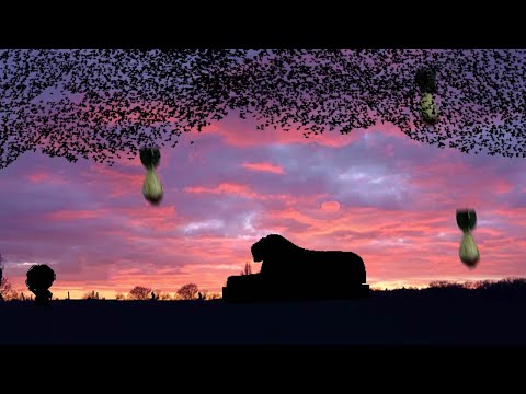 Does he warn us from a World War or causing it? - SCP 2574