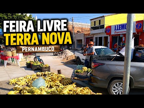 Veja como foi a feira da cidade de Terra Nova no sertão de Pernambuco 