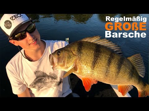 Where are the BIG bass in the lake?