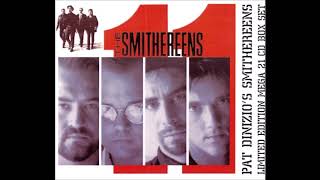 The Smithereens - Blue Period (acoustic)