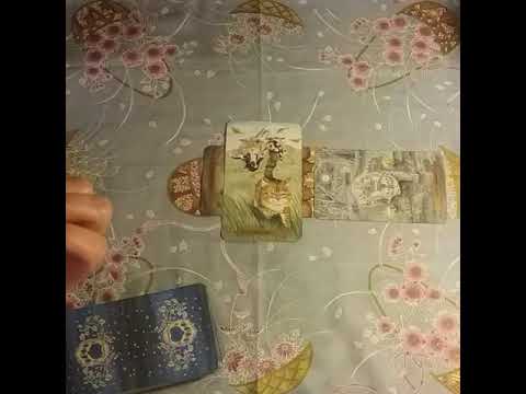 Our week ahead Jan 29 - Feb 4, 2018