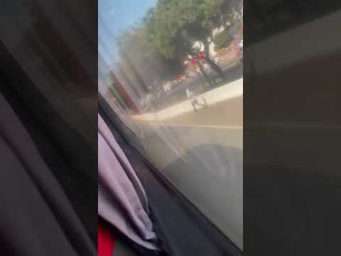 Mancha Verde Vs Torcida Jovem do Santos.