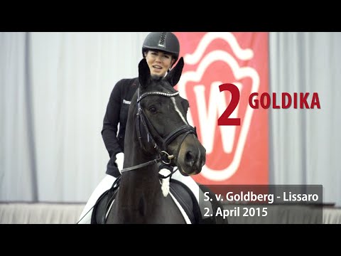 02 Goldika Stute v. Goldberg - Lissaro