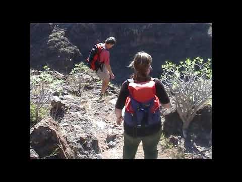 Wanderung Las Paredes - Chipude - Bco. Argaga - Vueltas, La Gomera