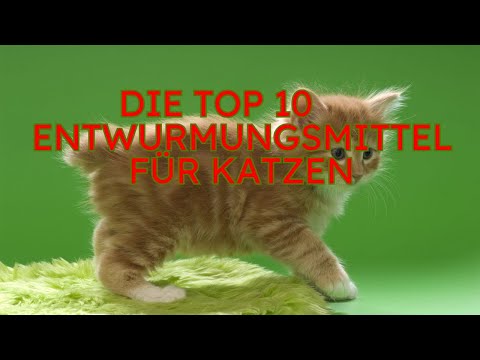 Die Top 10 Entwurmungsmittel für Katzen 2025