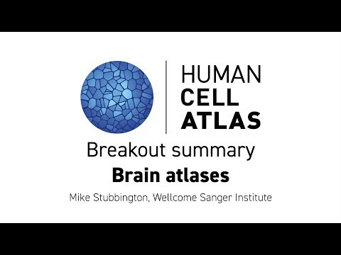 Hinxton 2018 - Breakout summary: Brain atlases