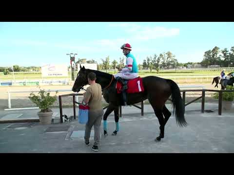 220507 c08 - BEN HUR  - HIPODROMO LAS PIEDRAS