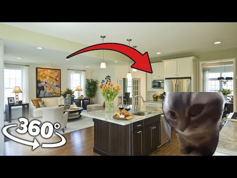 360° CHIPI CHIPI CHAPA CHAPA CAT - In YOUR House | 4K VR 360 Video