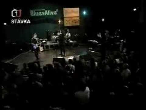 Kava Kava's Pat Fulgoni at Sumperk Blues Alive Festival, Czech
