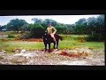 AFV Old Town Road Music Montage 2019