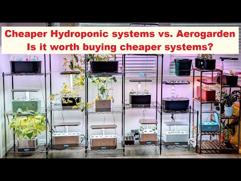Cheaper/Inexpensive Hydroponic systems vs. Aerogarden - Is it worth buying cheaper systems?