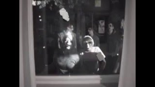 Murderdolls-Dawn of the Dead